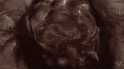 Heart Loop GIF by Xbox
