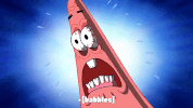 season 9 GIF by SpongeBob SquarePants